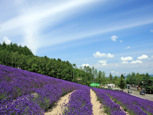 49202 (a): :1600x1200